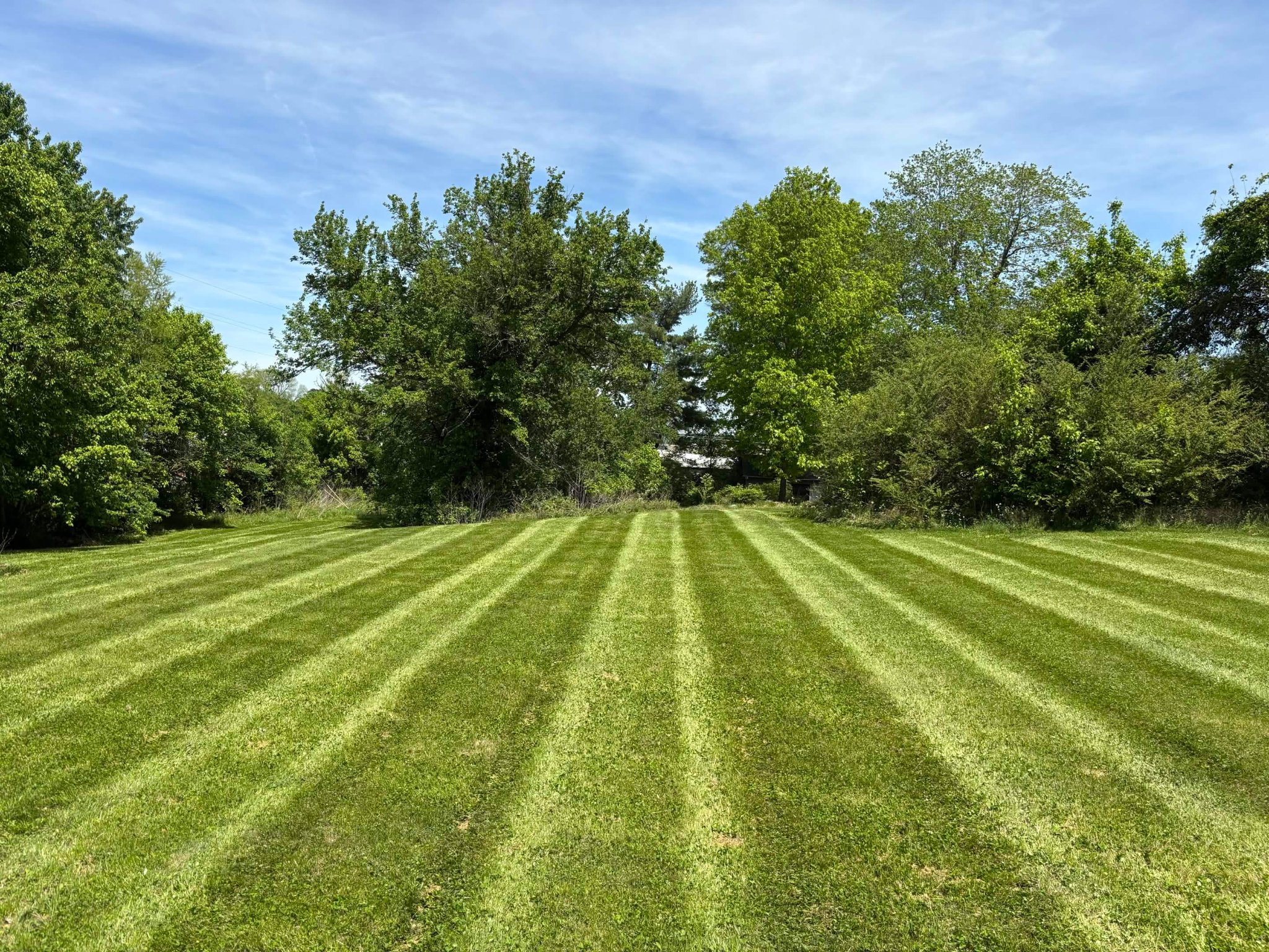 Lawn striping by Henry's Lawncare