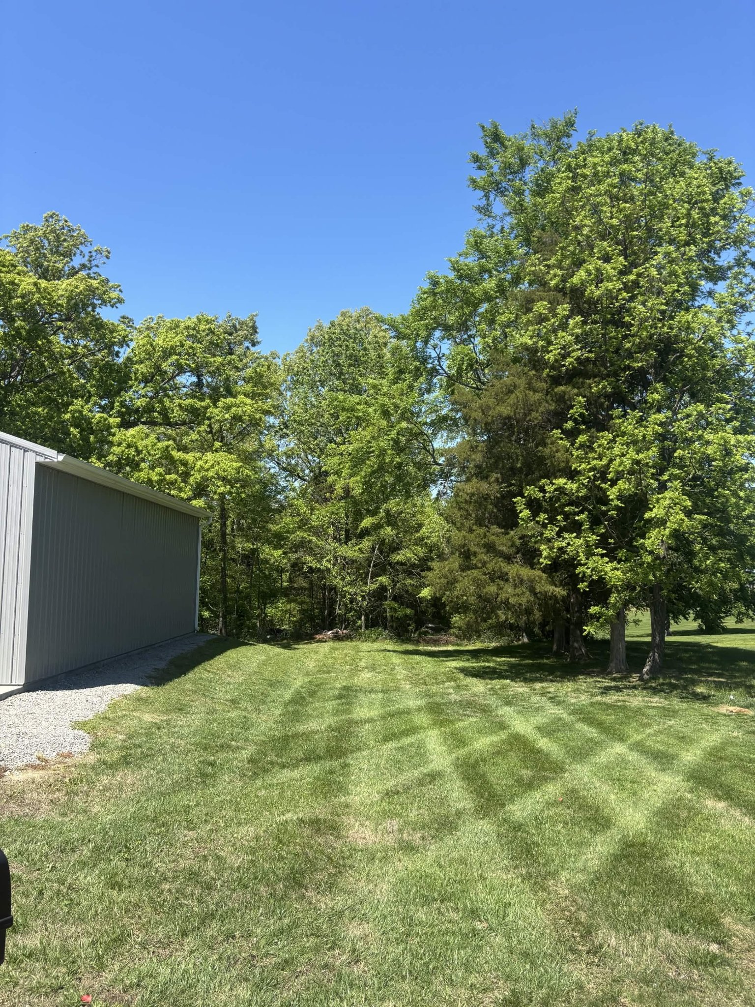 Lawn striping by Henry's Lawncare