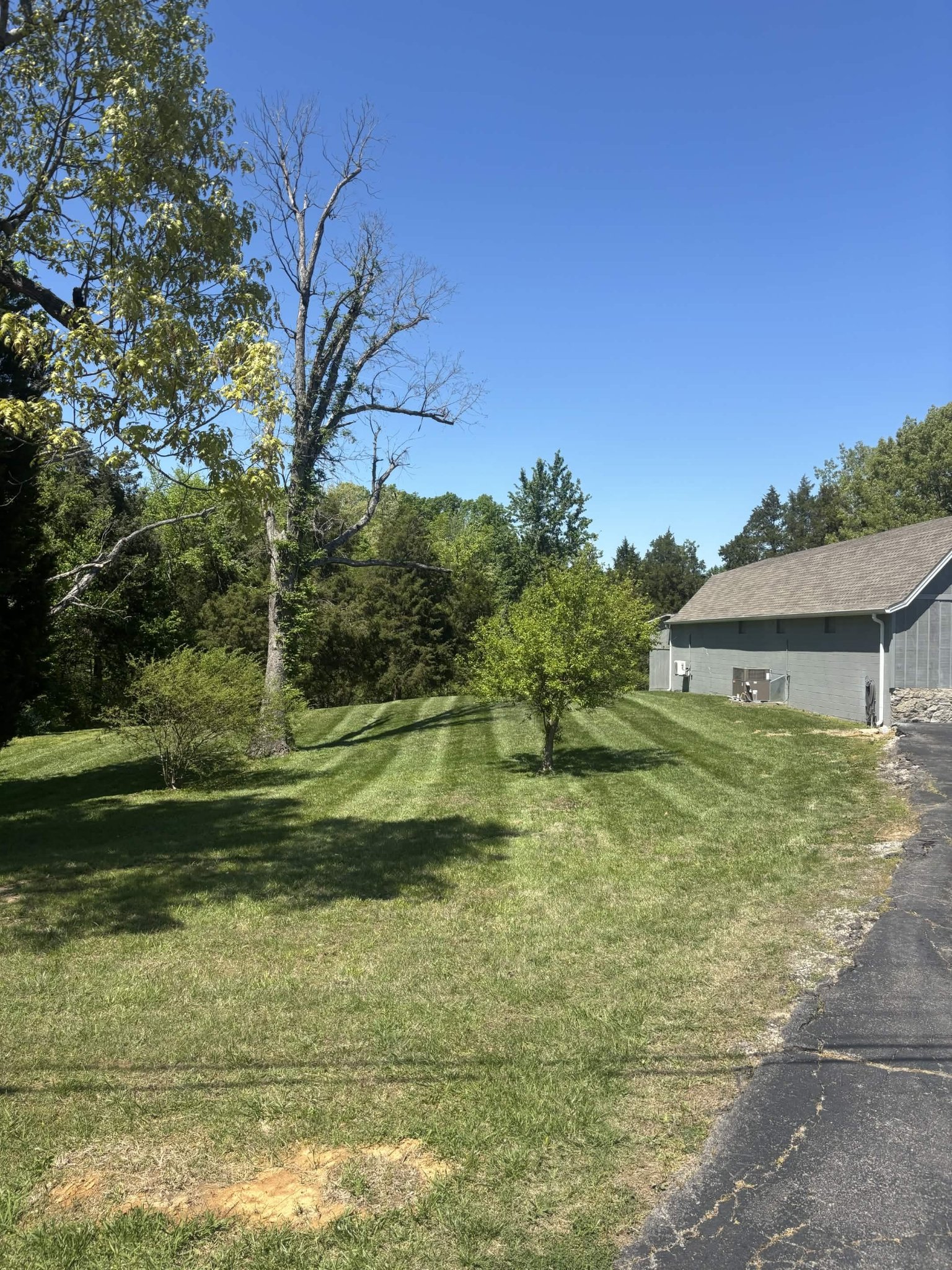 Lawn striping by Henry's Lawncare